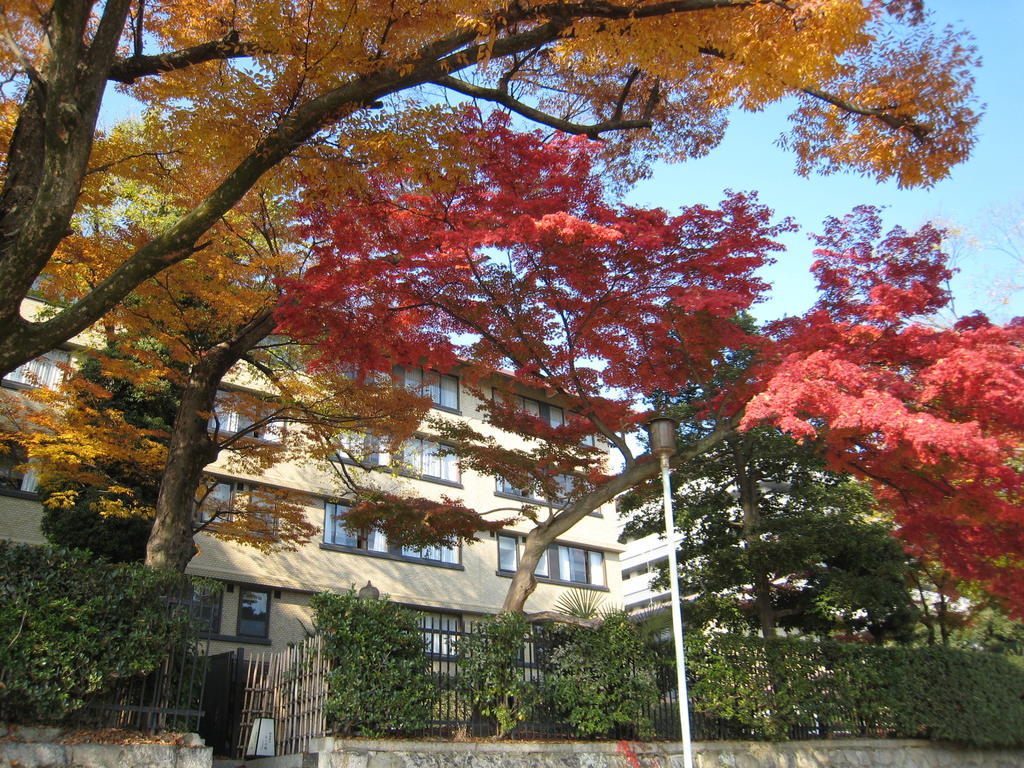 Kkr Kyoto Kuniso Hotell Eksteriør bilde